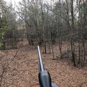 Meet your Posher, Cherry